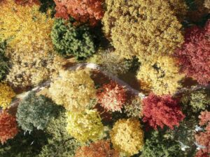 Arte per la riforestazione