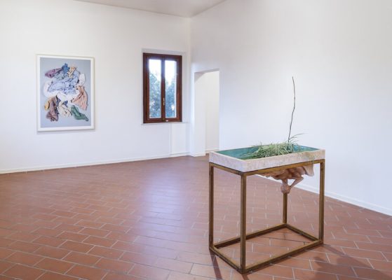 59-_DSC2785-ph.OKNOstudio