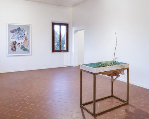 59-_DSC2785-ph.OKNOstudio