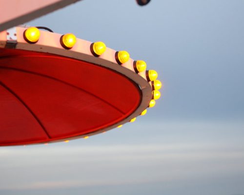 Carsten_Holler_5