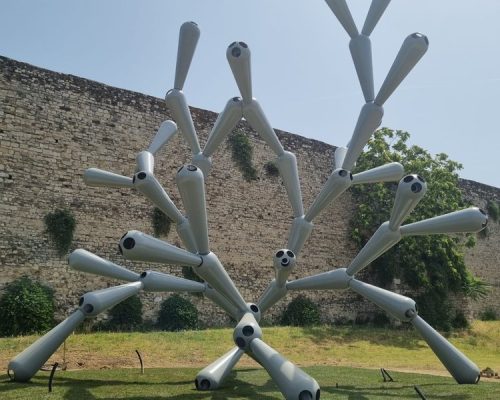PHOTO-2022-06-21-12-18-07+2+(1)