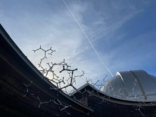 LORIS CECCHINI Waterbones