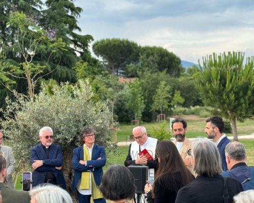 Arte per la riforestazione