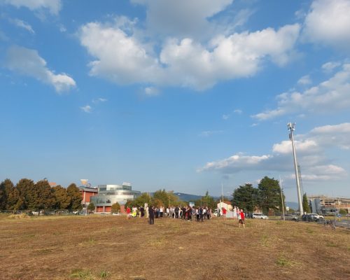 Arte per la riforestazione